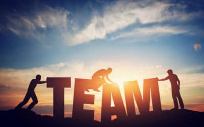 Teamcoaching: Ein neues Team erfolgreich zusammenführen